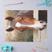 PAPIER MOUSSELINE CHEVAUX (Artisanat)