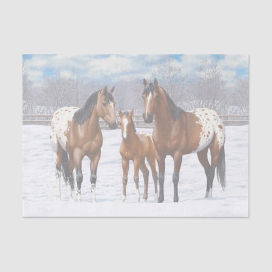 Papier Mousseline Chevaux Appaloosa De Baie Brown En Neige (Recto)