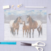 Papier Mousseline Chevaux Appaloosa De Baie Brown En Neige (Artisanat)