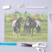 Papier Mousseline Chevaux Appaloosa Noir Dans Les Pâturages D'Été (Artisanat)