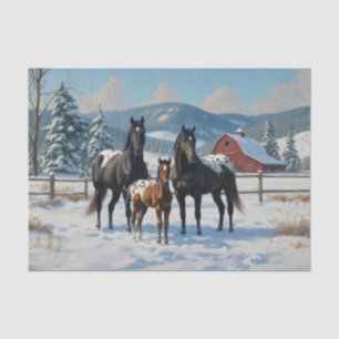 Papier Mousseline Chevaux Appaloosa noirs sur une ferme en hiver