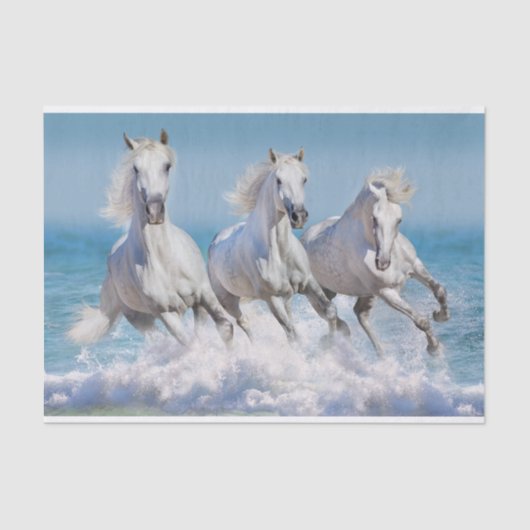 Papier Mousseline Chevaux blancs andalous (Recto)