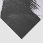 Papier Mousseline Chevaux Blancs Noirs Meilleurs Amis Découpage (Détail)