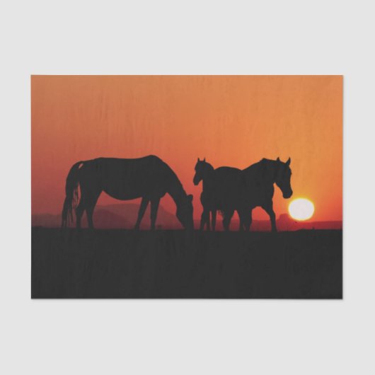 Papier Mousseline Chevaux Cowboy Occidental Coucher de soleil 15 Déc (Recto)