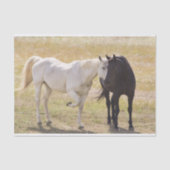 Papier Mousseline Chevaux d'amour (Recto)