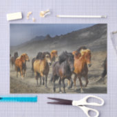 Papier Mousseline Chevaux dans un tir (Artisanat)