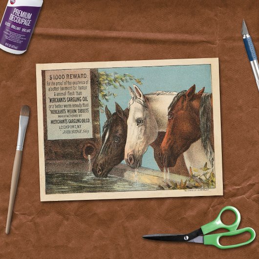 Papier Mousseline Chevaux de ferme Ephémère de la publicité de l'eau