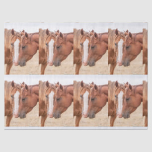 Papier Mousseline Chevaux étourdissant dans un pâturage