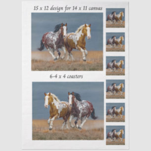 Papier Mousseline Chevaux peints en découpage courant toile 11x14