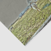 Papier Mousseline Chevaux rustiques Country Western Farm Decoupage (Détail)