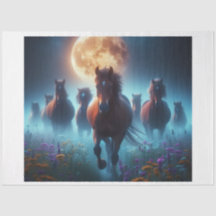 Chevaux sauvages