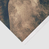 Papier Mousseline Chevaux sauvages Découpage Art (Détail)