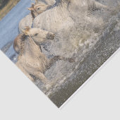 Papier Mousseline Chevaux sauvages traversant une rivière (Détail)