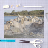 Papier Mousseline Chevaux sauvages traversant une rivière (Artisanat)