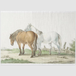 Papier Mousseline Chevaux vintages dans le pays du pâturage
