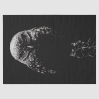 Papier Mousseline 'Chevêche des terriers'