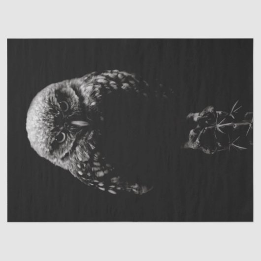 Papier Mousseline 'Chevêche des terriers' (Recto)