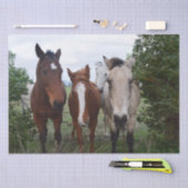 Papier Mousseline Cheveux Frisqués : De Bons Problèmes De Cheval, (Artisanat)