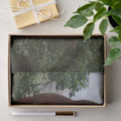 Papier Mousseline Cheveux Frisqués : De Bons Problèmes De Cheval, (Cadeau)