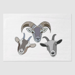 Papier Mousseline Chèvre animal drôle chèvre