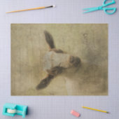 Papier Mousseline Chèvre bébé Socke (Artisanat)