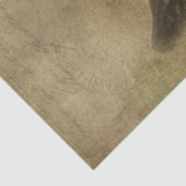 Papier Mousseline Chèvre bébé Socke (Détail)