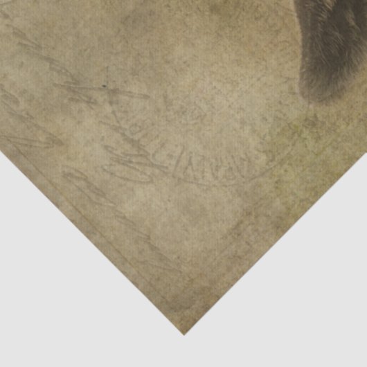 Papier Mousseline Chèvre bébé Socke (Détail)