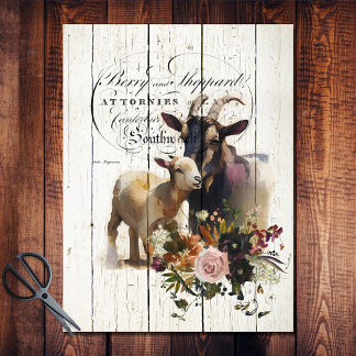 Papier Mousseline Chèvres nubiennes florales de ferme