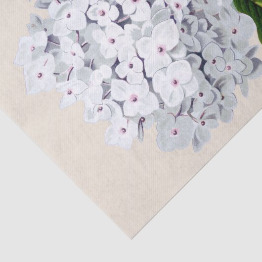 Papier Mousseline Chic Fleurs blanches fraîches avec coeur rose (Détail)