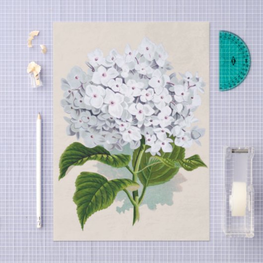 Papier Mousseline Chic Fleurs blanches fraîches avec coeur rose (Artisanat)