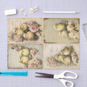 Papier Mousseline Chicots Shabby (Artisanat)