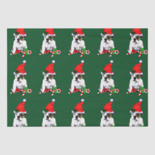Papier Mousseline Chien à dos d'enfant à Noël à Santa Hat