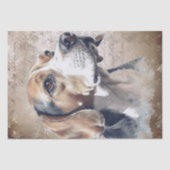 Papier Mousseline Chien beagle (Recto)