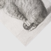 Papier Mousseline Chien Chat Animaux 8 Portrait Photo Gardien de col (Détail)