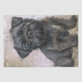 Papier Mousseline Chien chiot Affenpinscher (Recto)