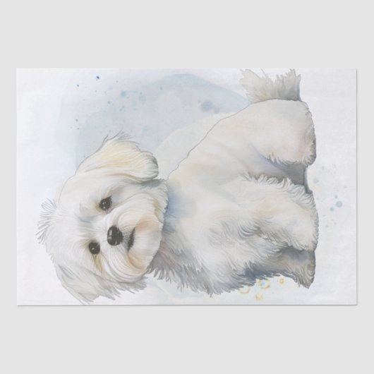 Papier Mousseline Chien chiot maltais (Recto)
