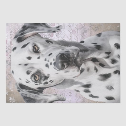 Papier Mousseline Chien dalmate (Recto)