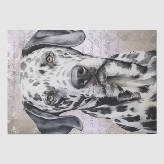 Papier Mousseline Chien dalmate (Recto)