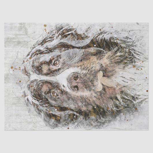 Papier Mousseline Chien de montagne bernois (Recto)