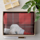 Papier Mousseline Chien de Noël rouge plaid Coton de Tulear (Cadeau)