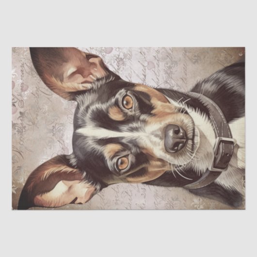 Papier Mousseline Chien de Rat Terrier (Recto)
