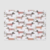 Papier Mousseline Chien de saucisse Dachshund (Recto)