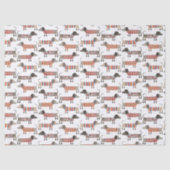 Papier Mousseline Chien de saucisse Dachshund (Recto)