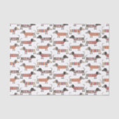 Papier Mousseline Chien de saucisse Dachshund (Recto)