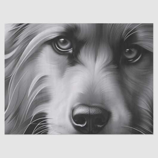 PAPIER MOUSSELINE CHIEN DE TERRIER NOIR ET BLANC (Recto)