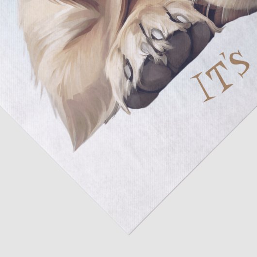 Papier Mousseline Chien dormant mignon illustré (Détail)