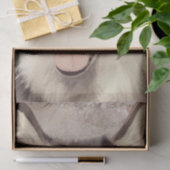 Papier Mousseline Chien malamué de l'Alaska (Cadeau)