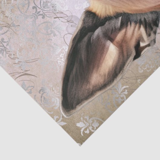 Papier Mousseline Chien Malinois, berger belge (Détail)