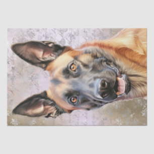 Papier Mousseline Chien Malinois, berger belge