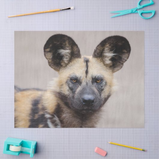 Papier Mousseline Chien sauvage africain (Chien peint) (Artisanat)